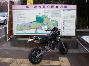 小金井市6