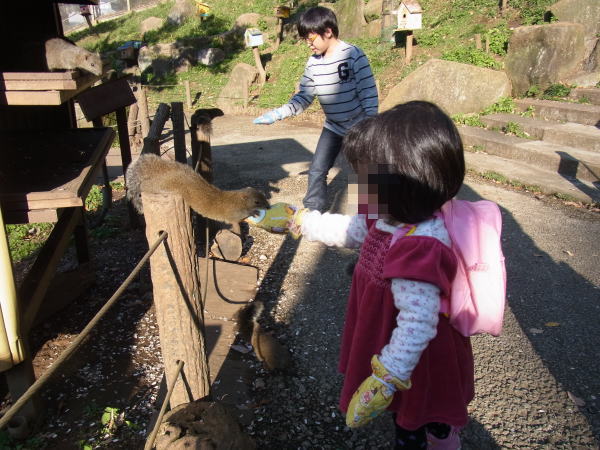 町田市16