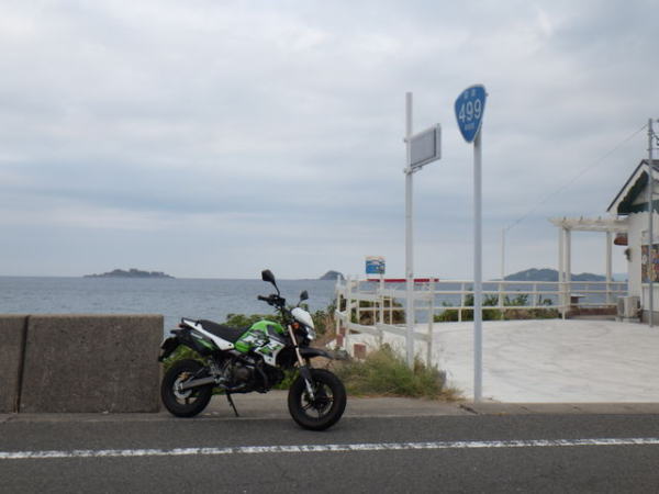 国道499号