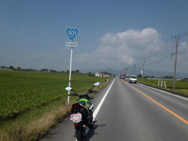 国道501号