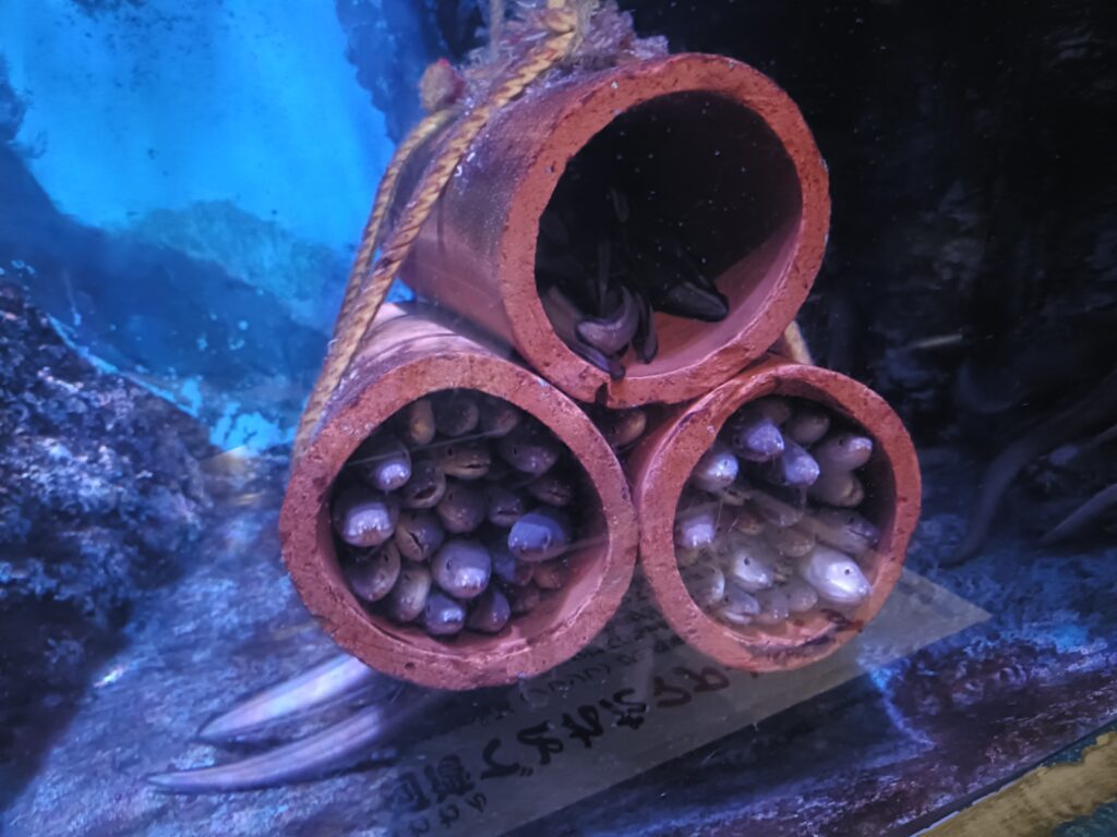 碧南海浜水族館