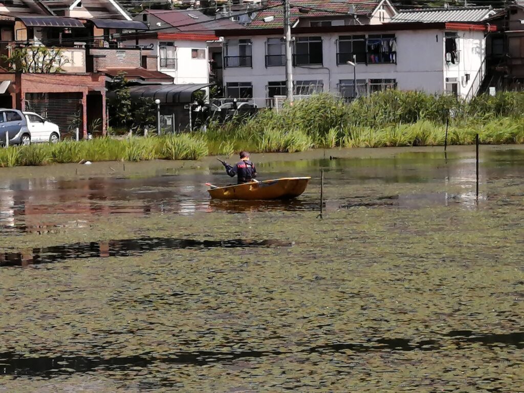 深泥池