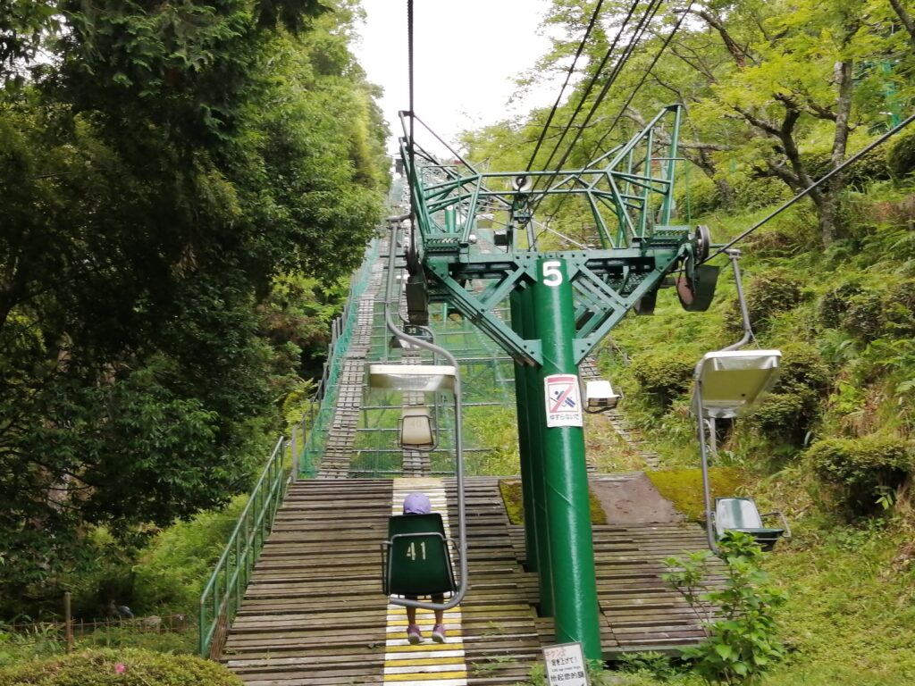 傘松公園