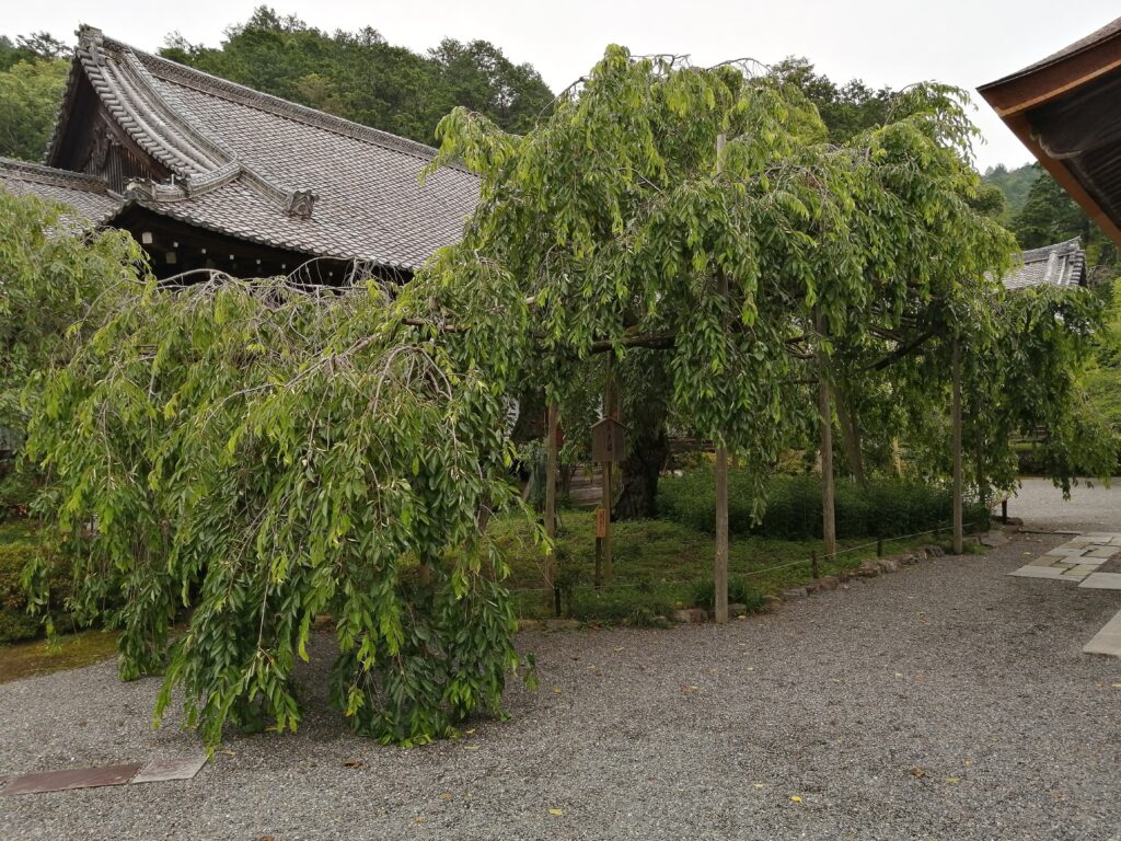 毘沙門堂