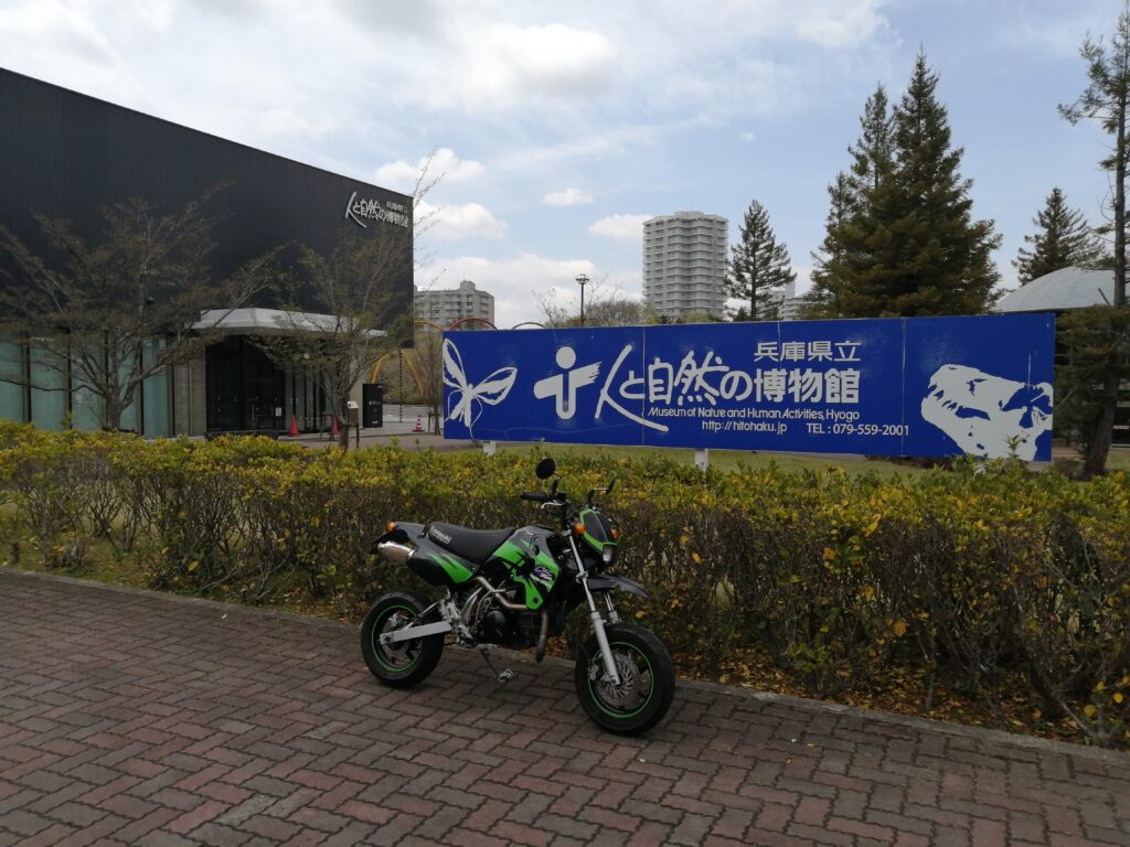 兵庫県立 人と自然の博物館
