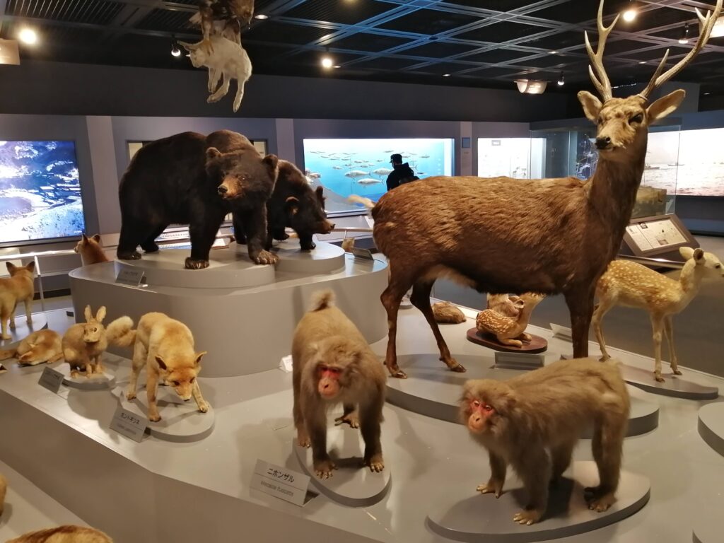 兵庫県立 人と自然の博物館
