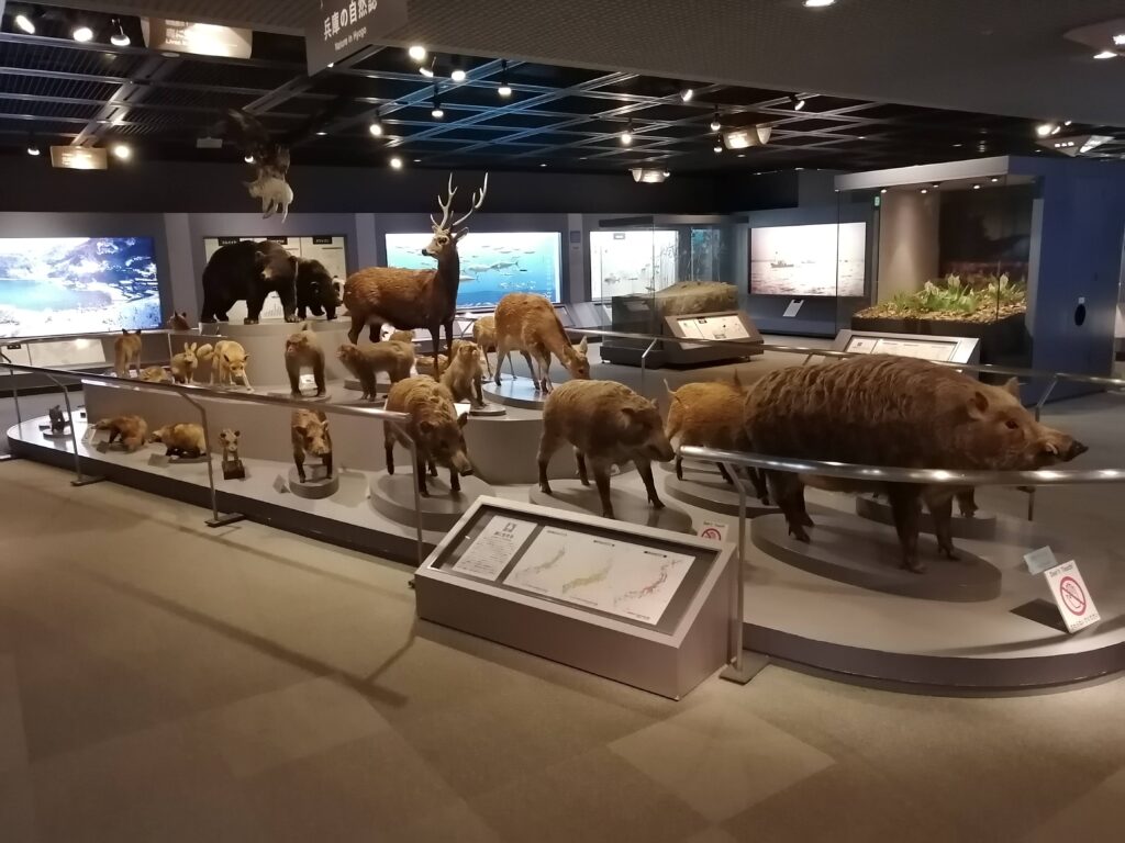 兵庫県立 人と自然の博物館