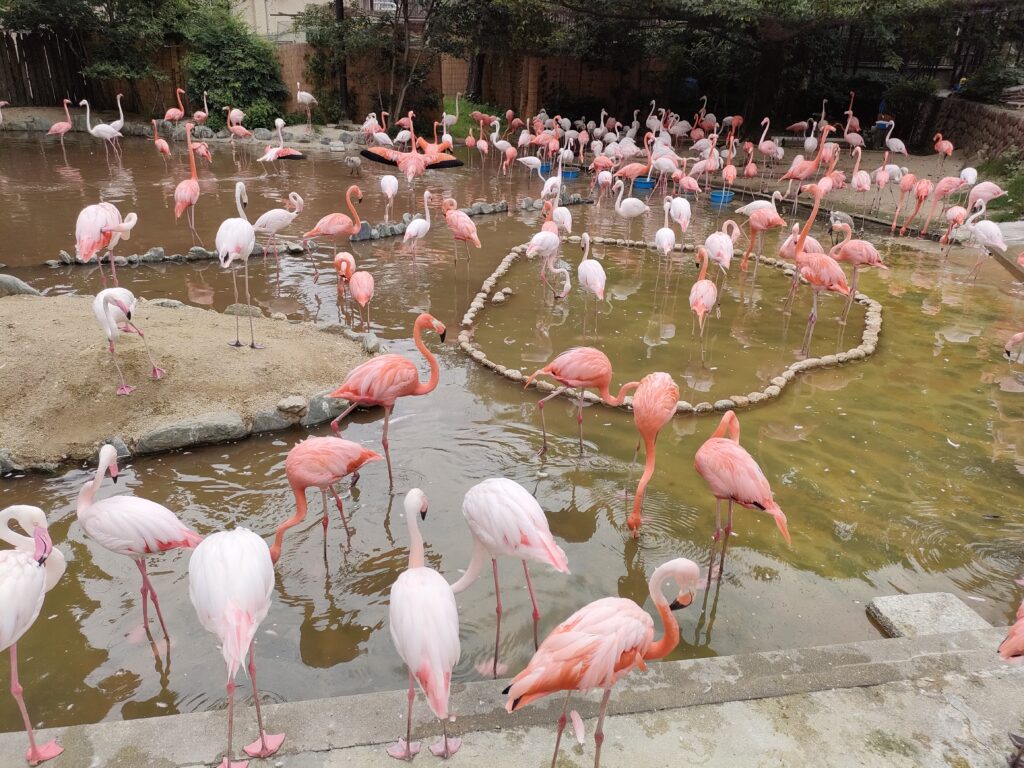 神戸市王子動物園