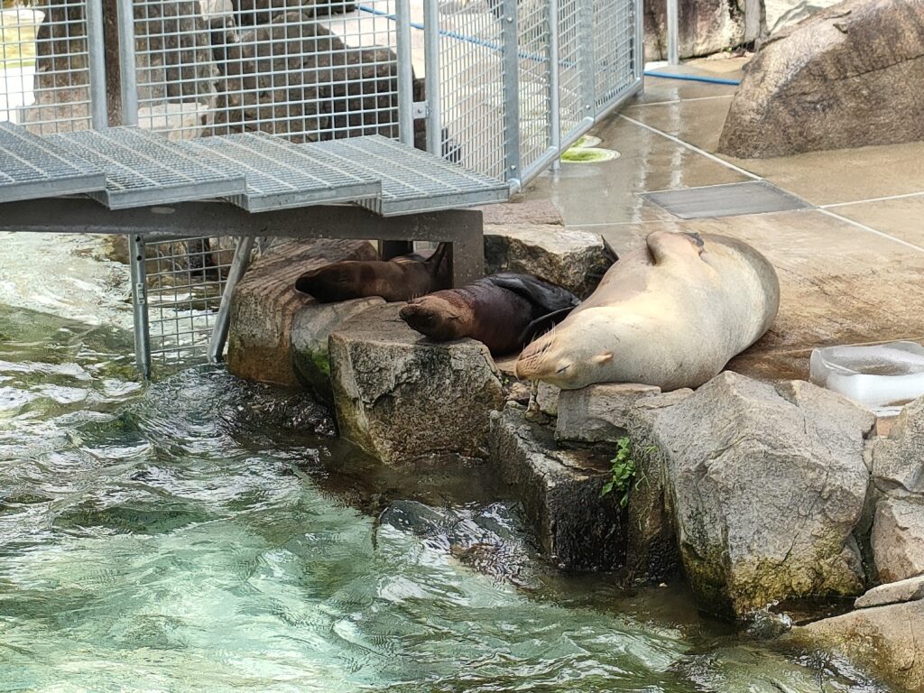 神戸市王子動物園