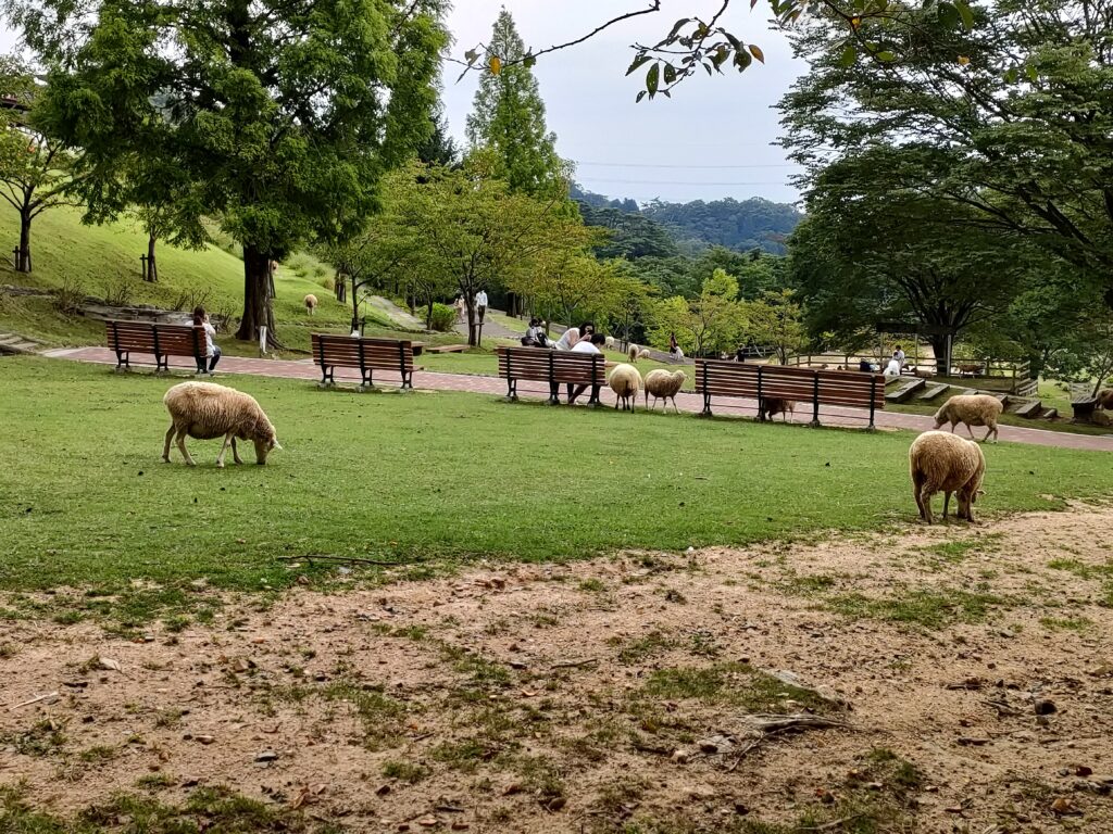 六甲山牧場