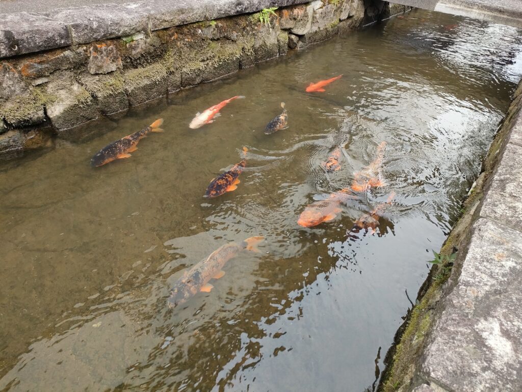 瀬戸川と白壁土蔵街