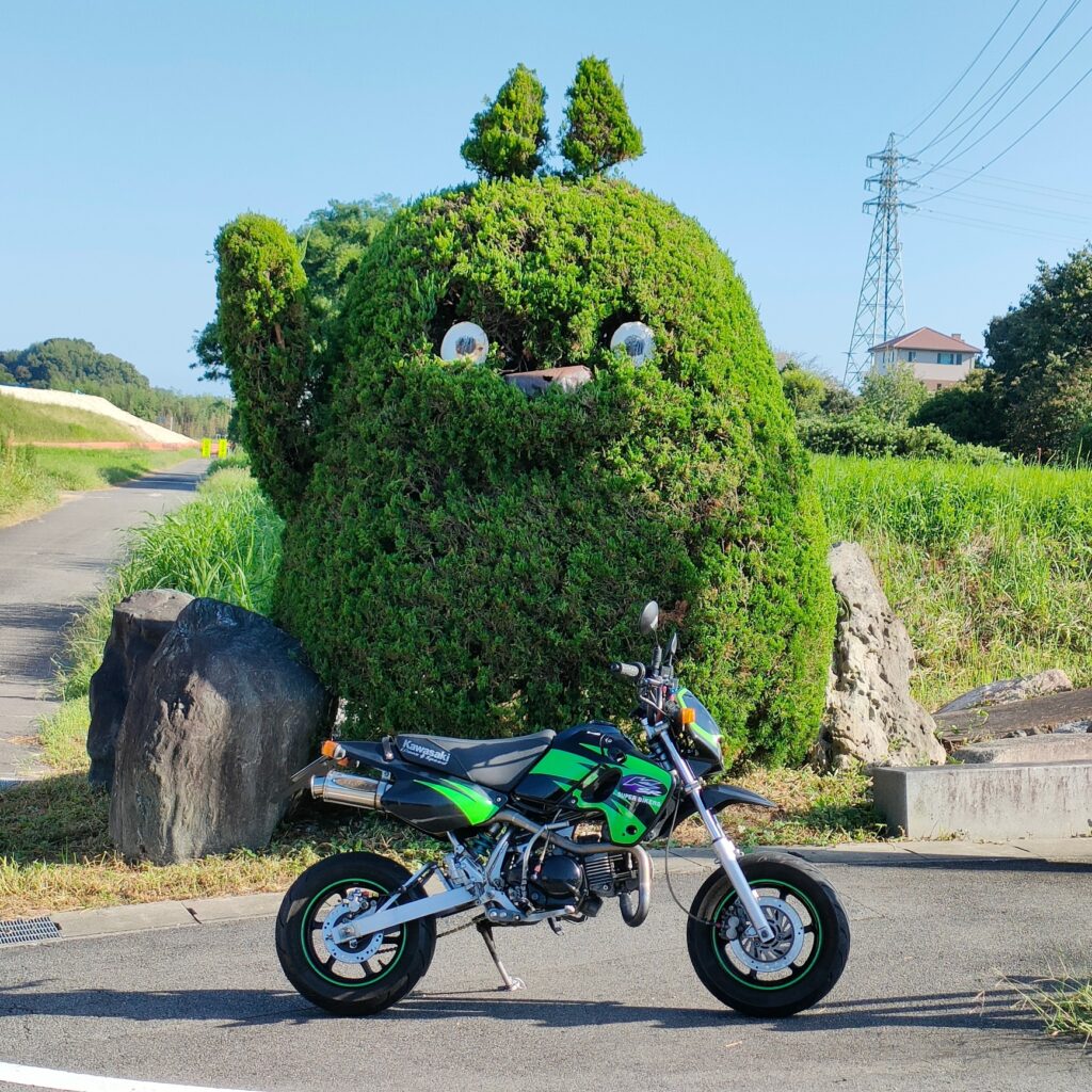 金山のトトロ