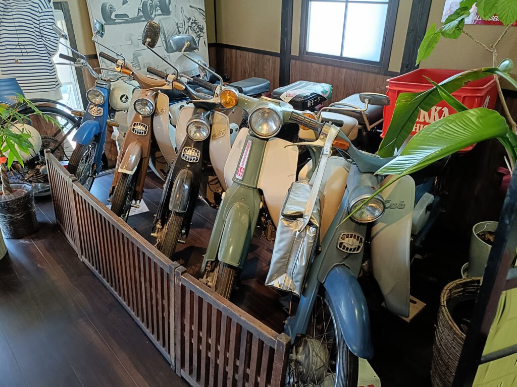 CAFE CUB SUZUKA