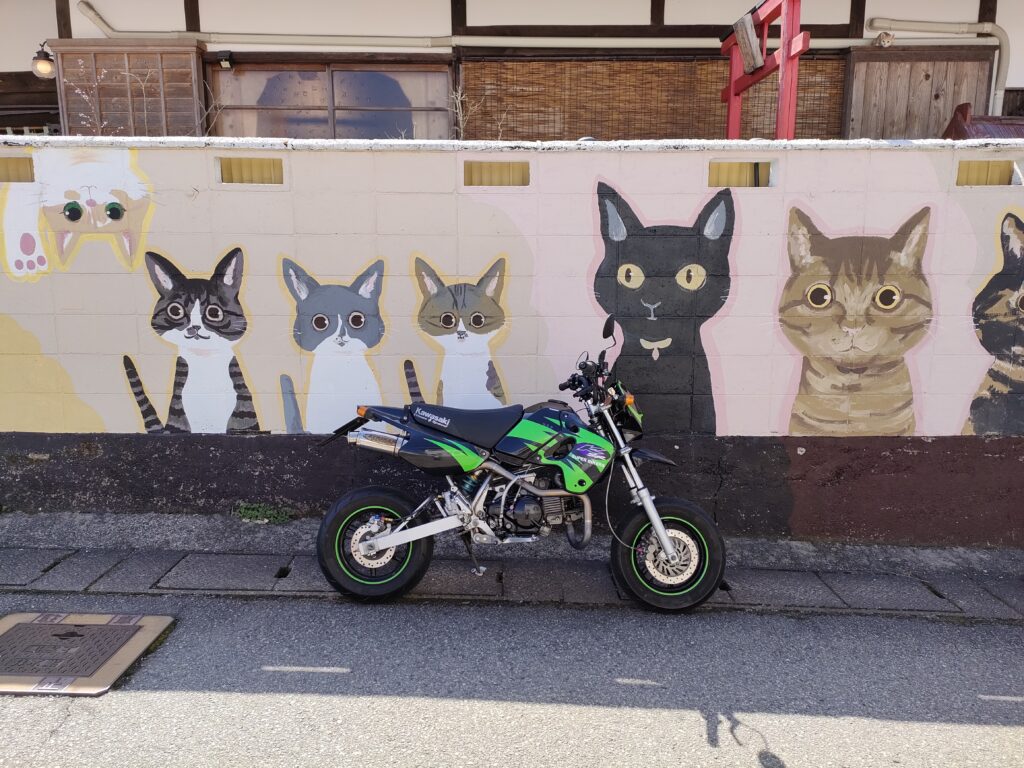 くつろぎ古民家まめ猫・猫カフェ