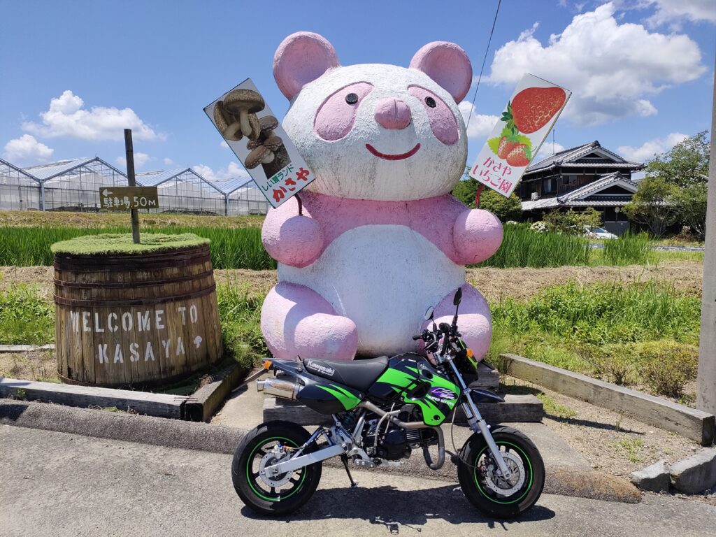 しい茸ランドかさや