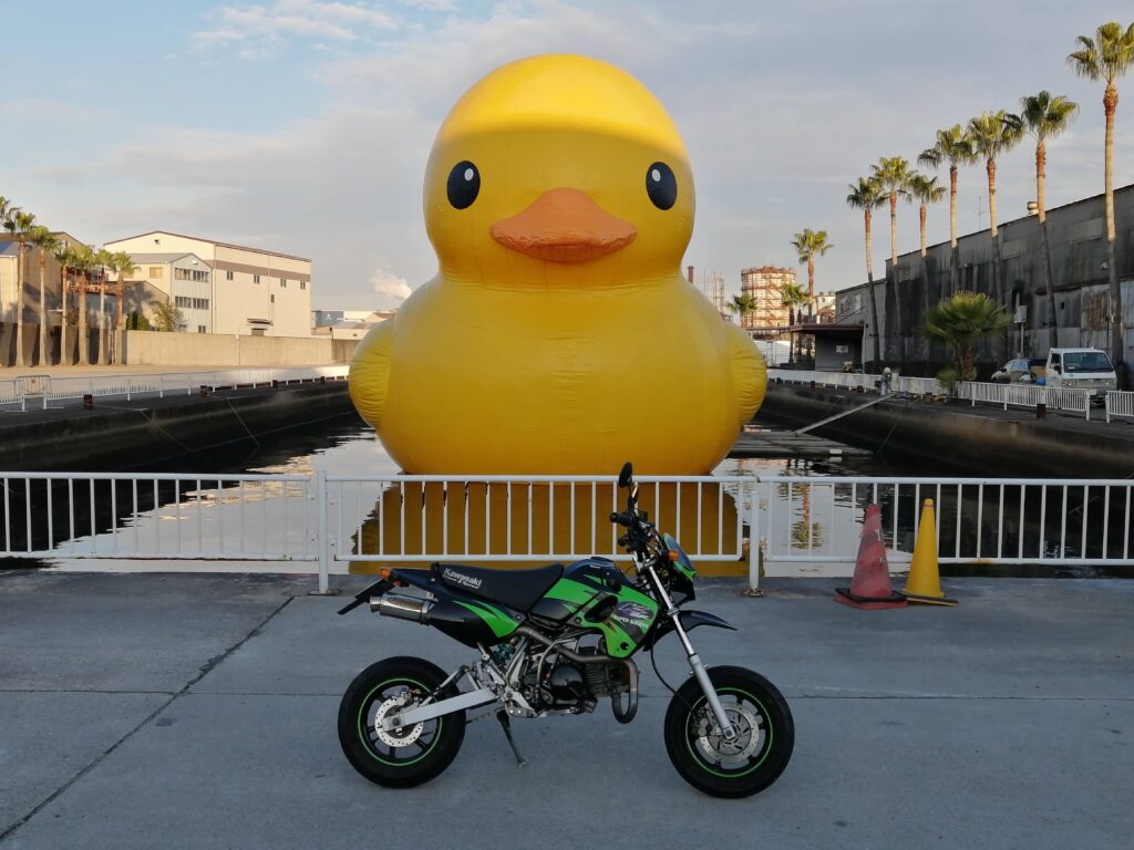 ラバーダック