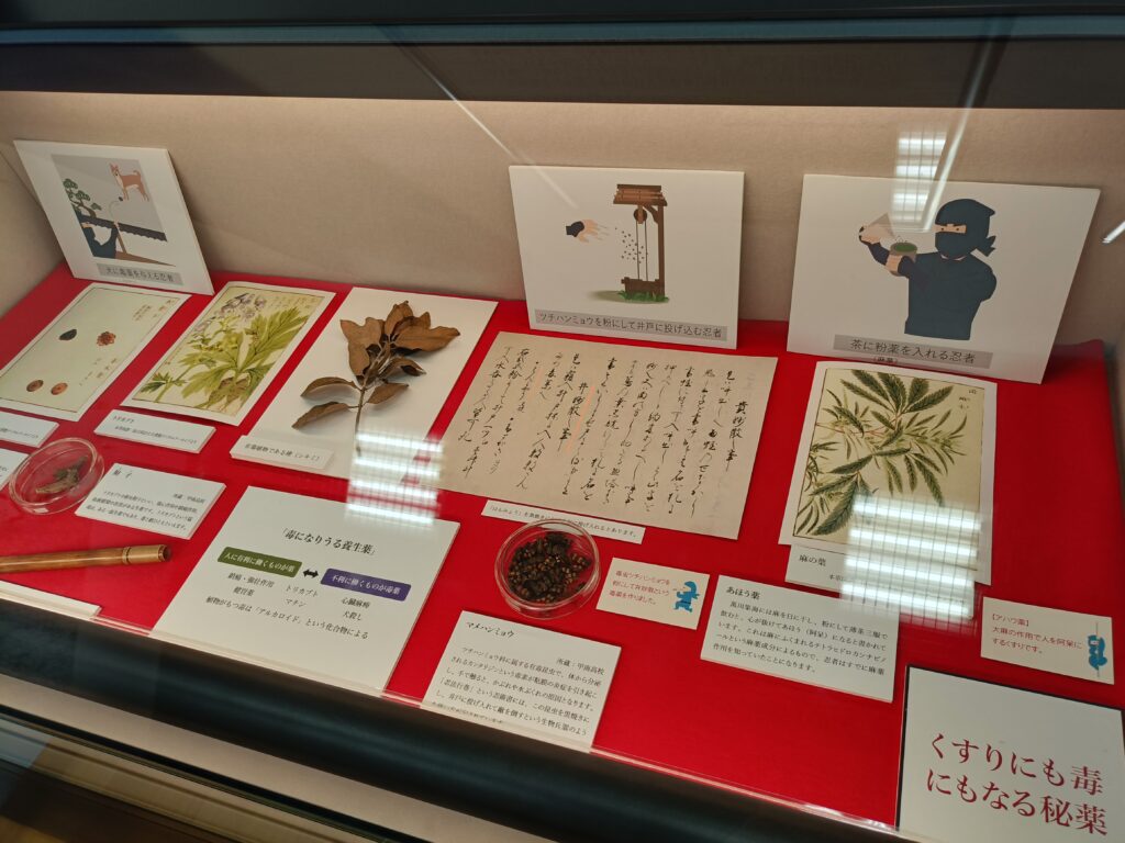 くすり学習館