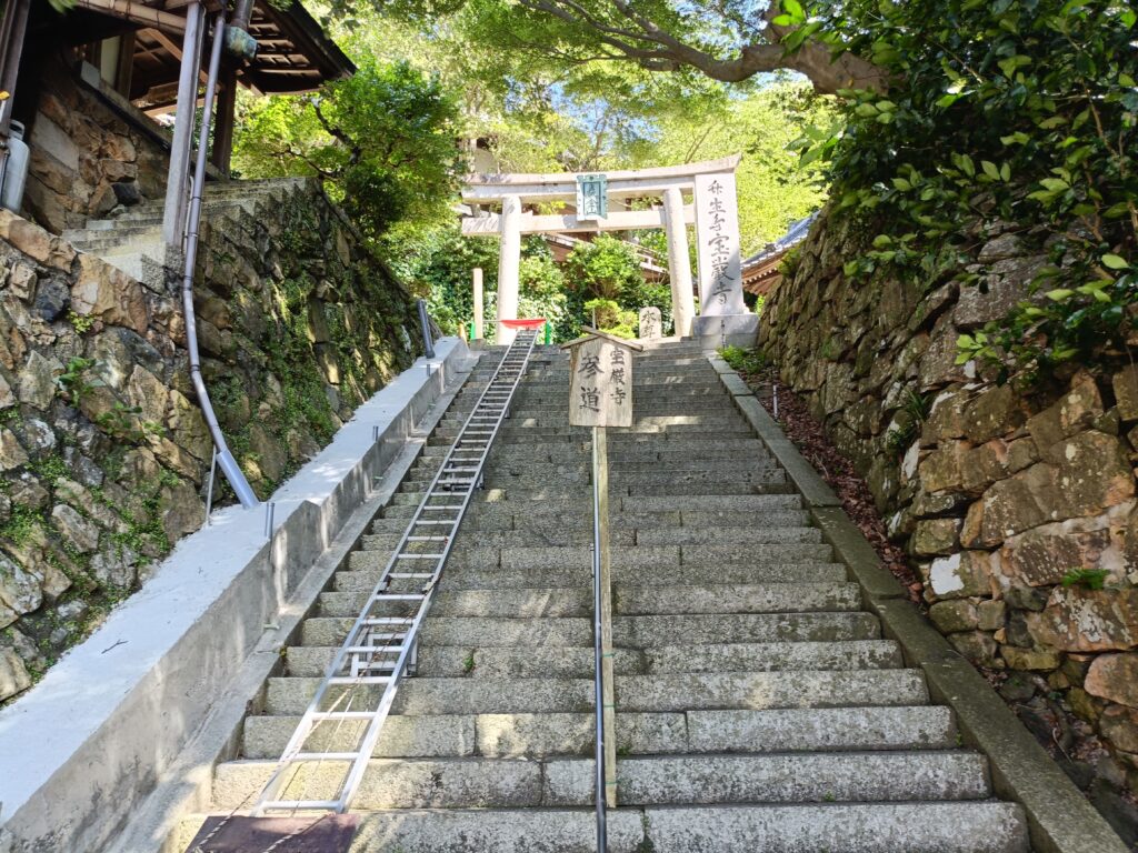 竹生島