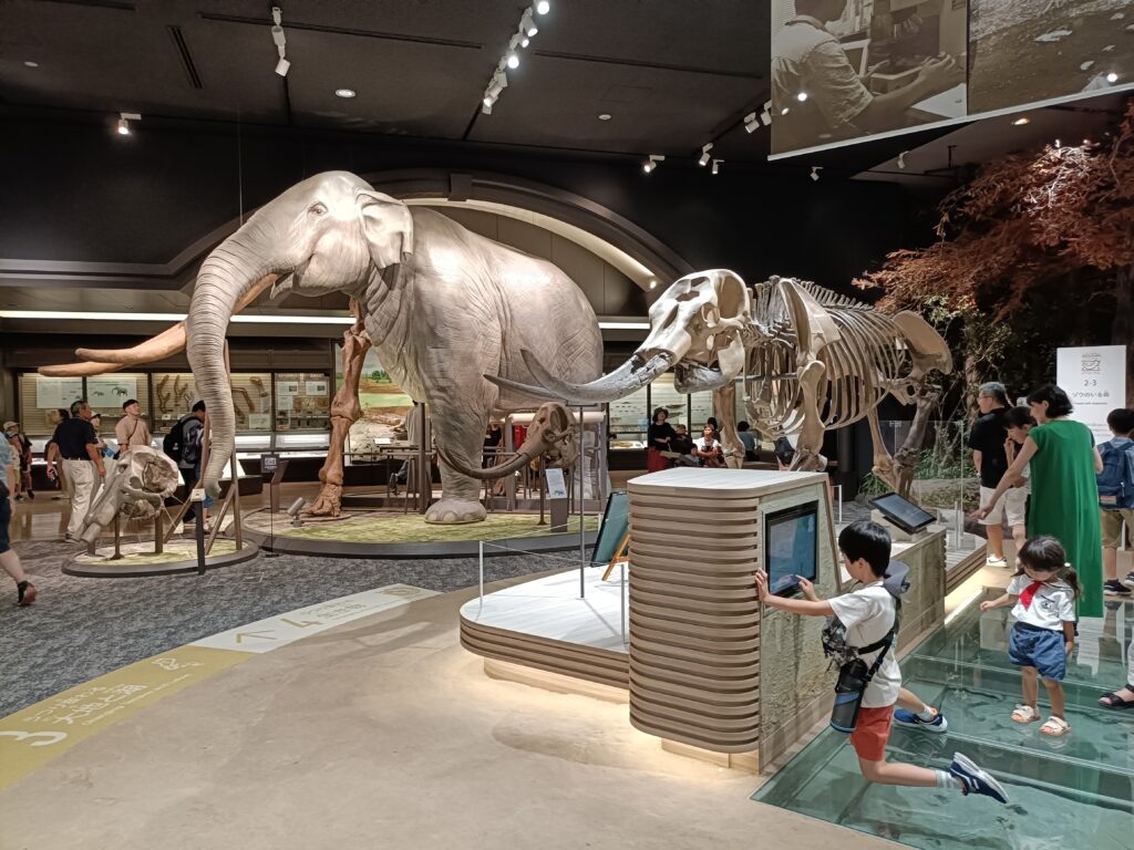 琵琶湖博物館