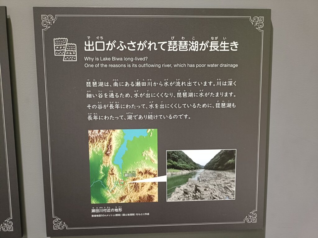 琵琶湖博物館