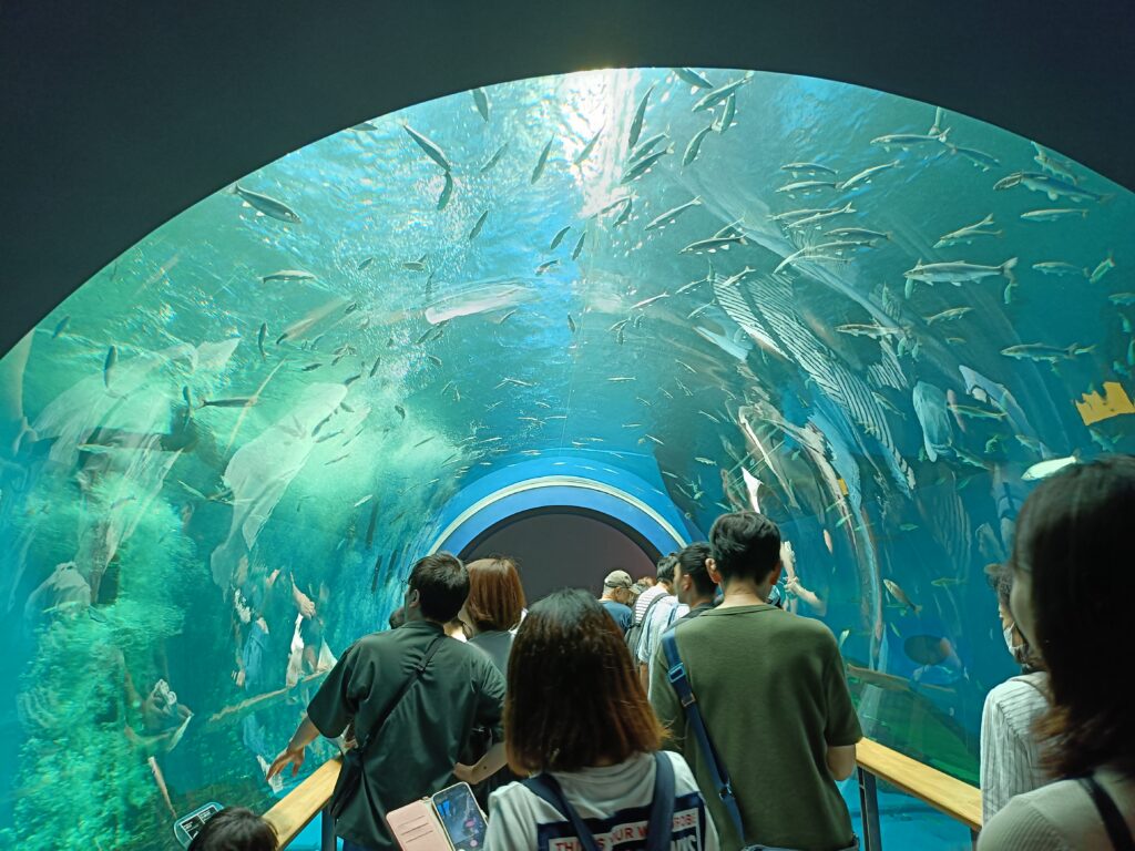 琵琶湖博物館