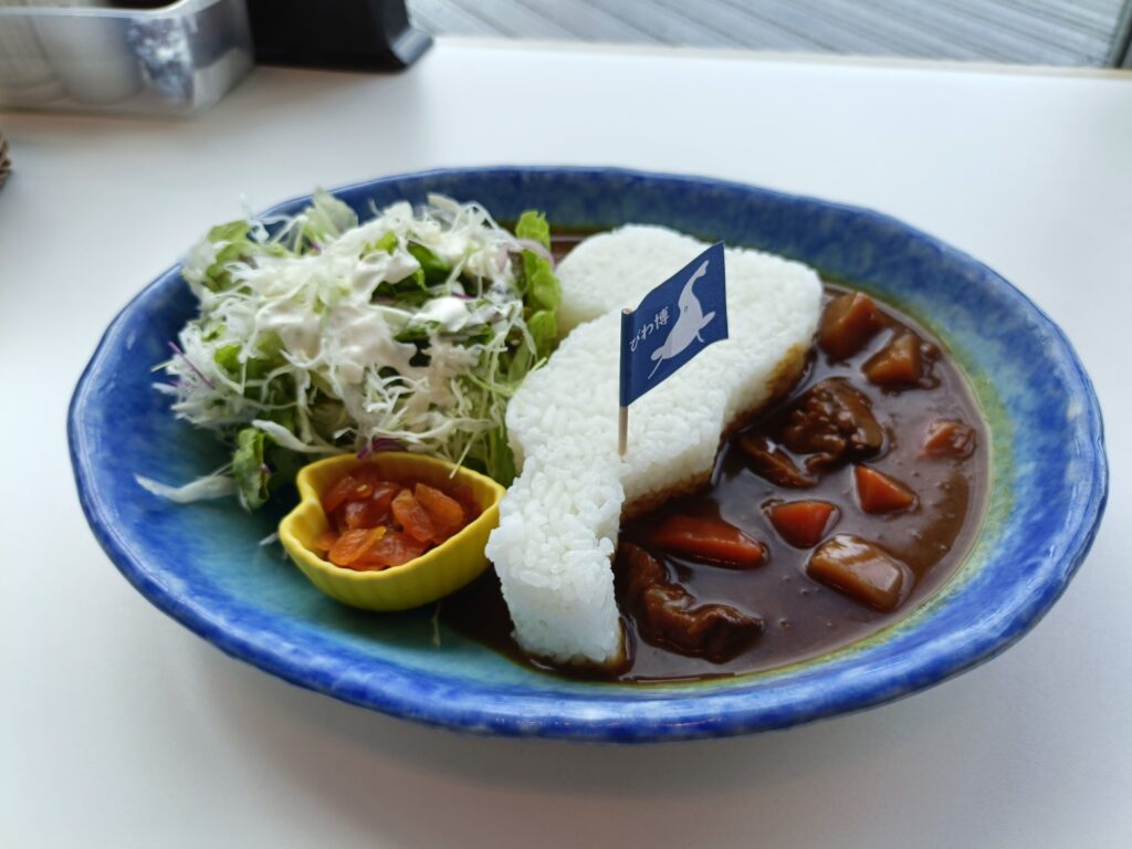 琵琶湖博物館
