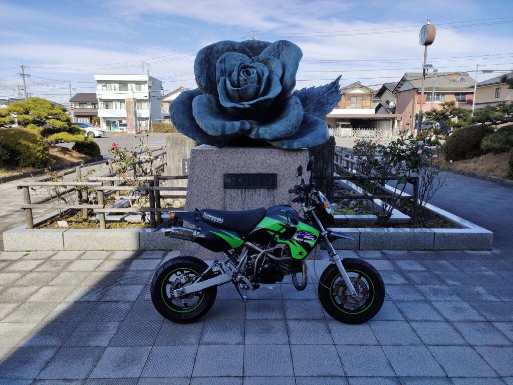 神戸町役場・バラ