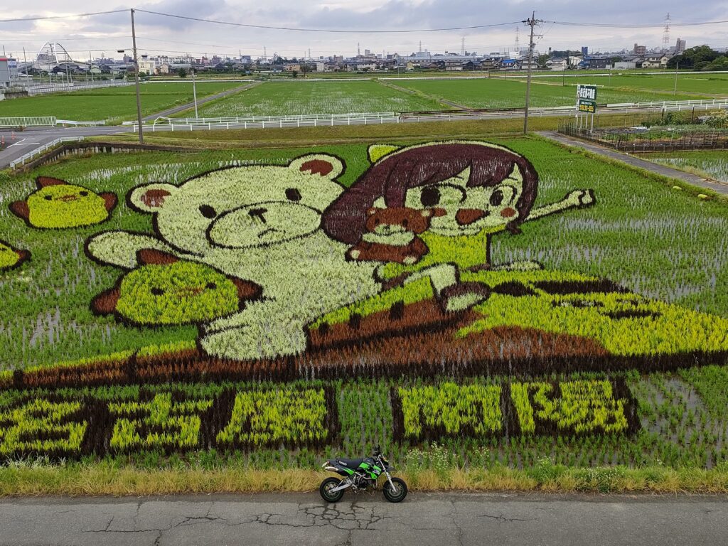 田んぼアート南陽
