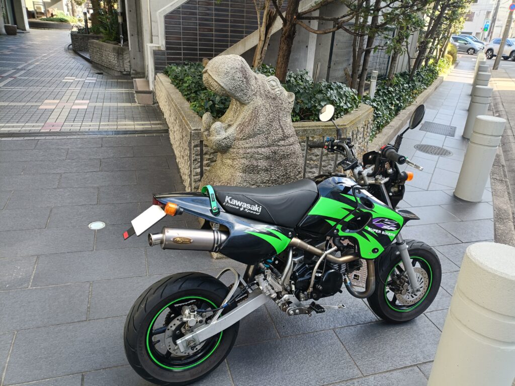 カバ
