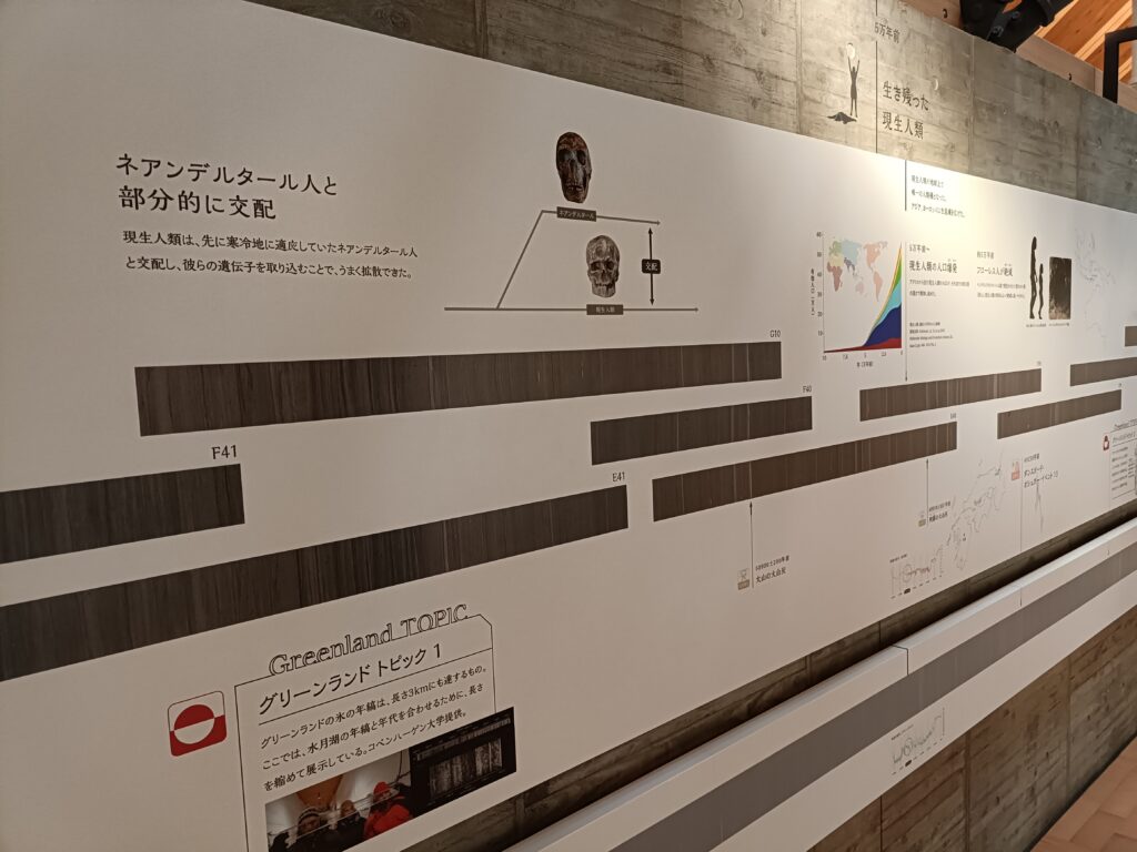 福井県年縞博物館
