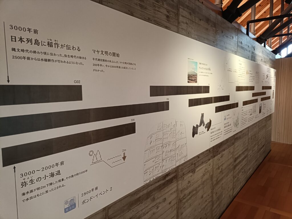 福井県年縞博物館