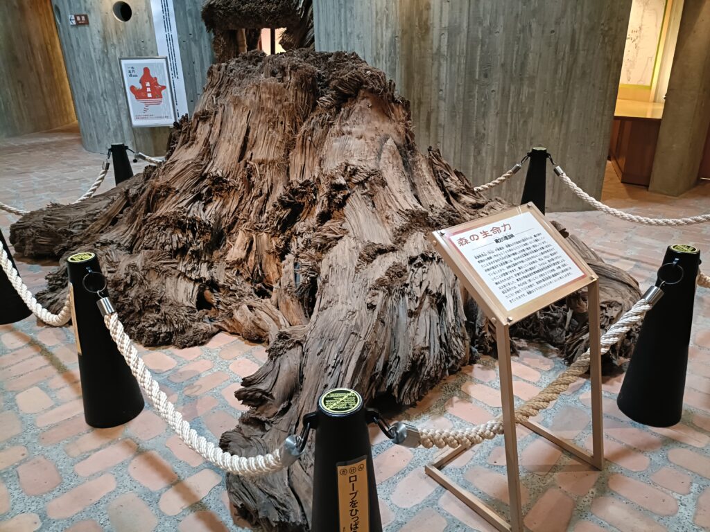 若狭三方縄文博物館