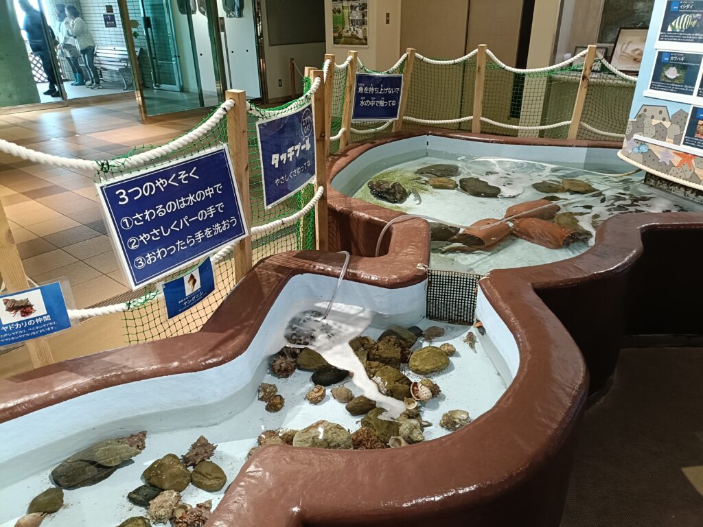 福井県海洋自然センター