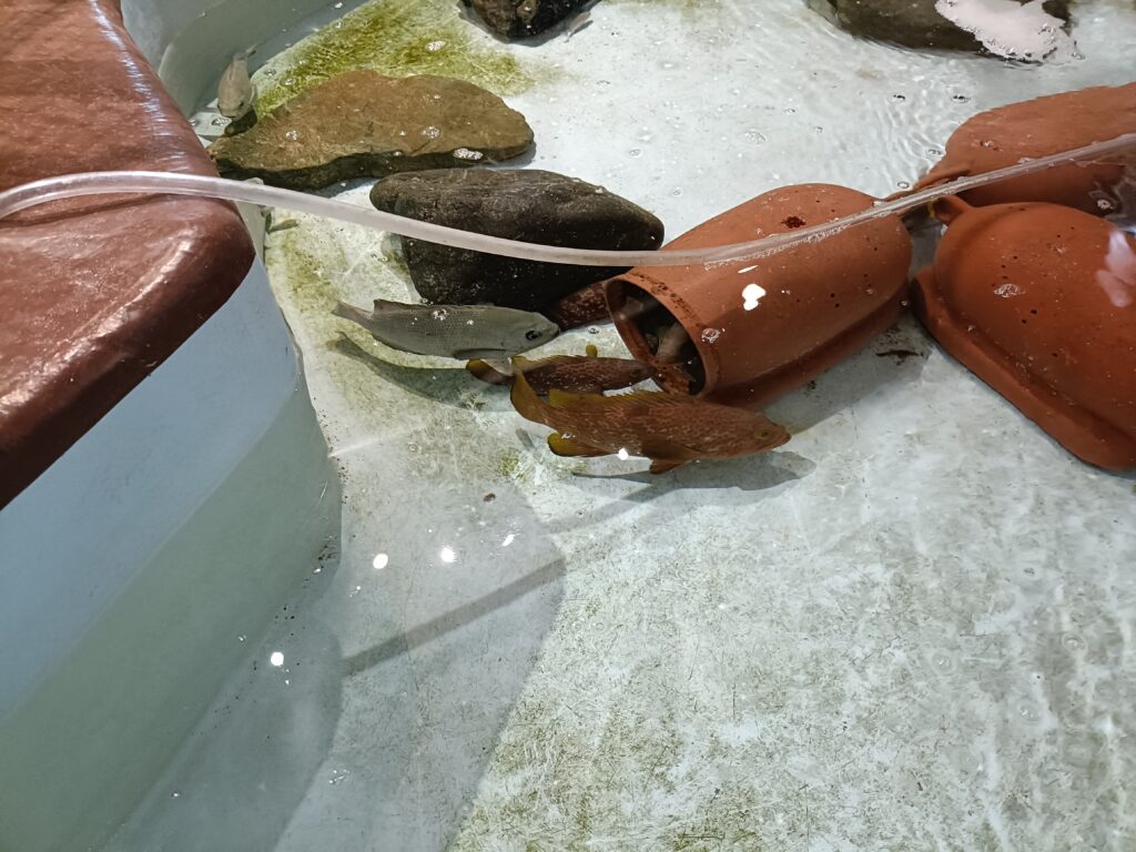 福井県海洋自然センター