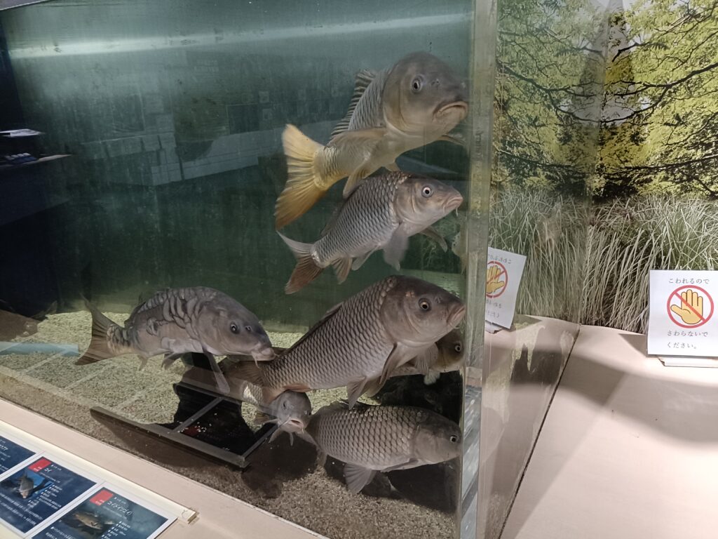 福井県海洋自然センター