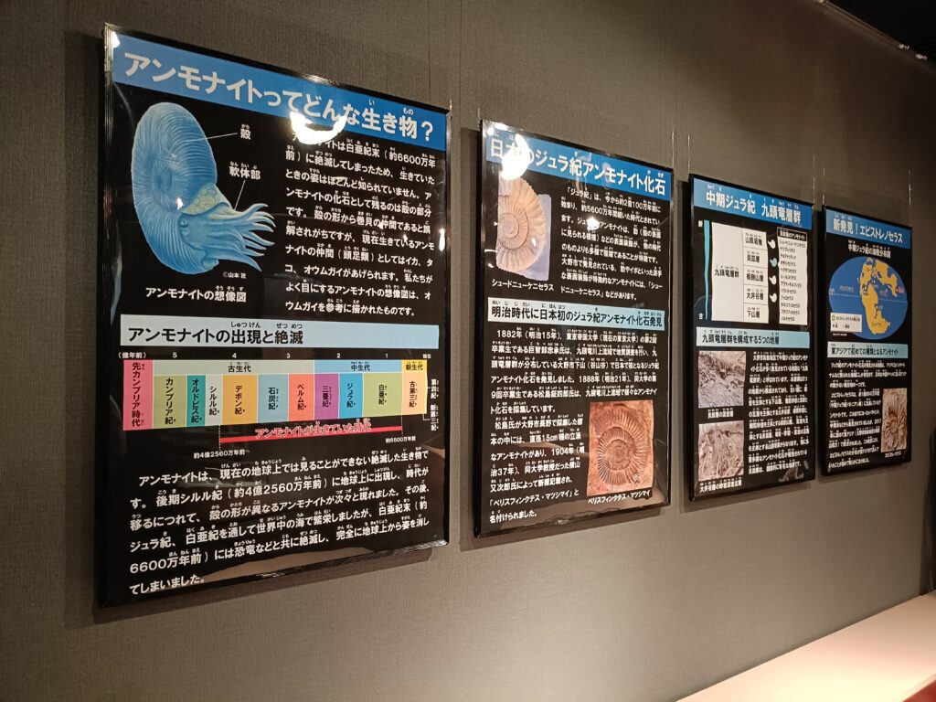 くずりゅう化石ラボ ガ・オーノ