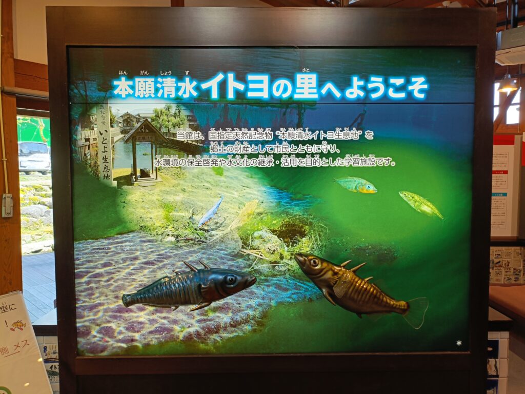 本願清水イトヨの里