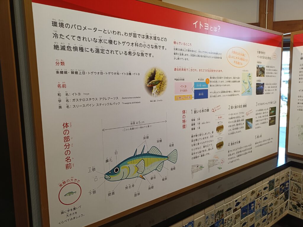 本願清水イトヨの里