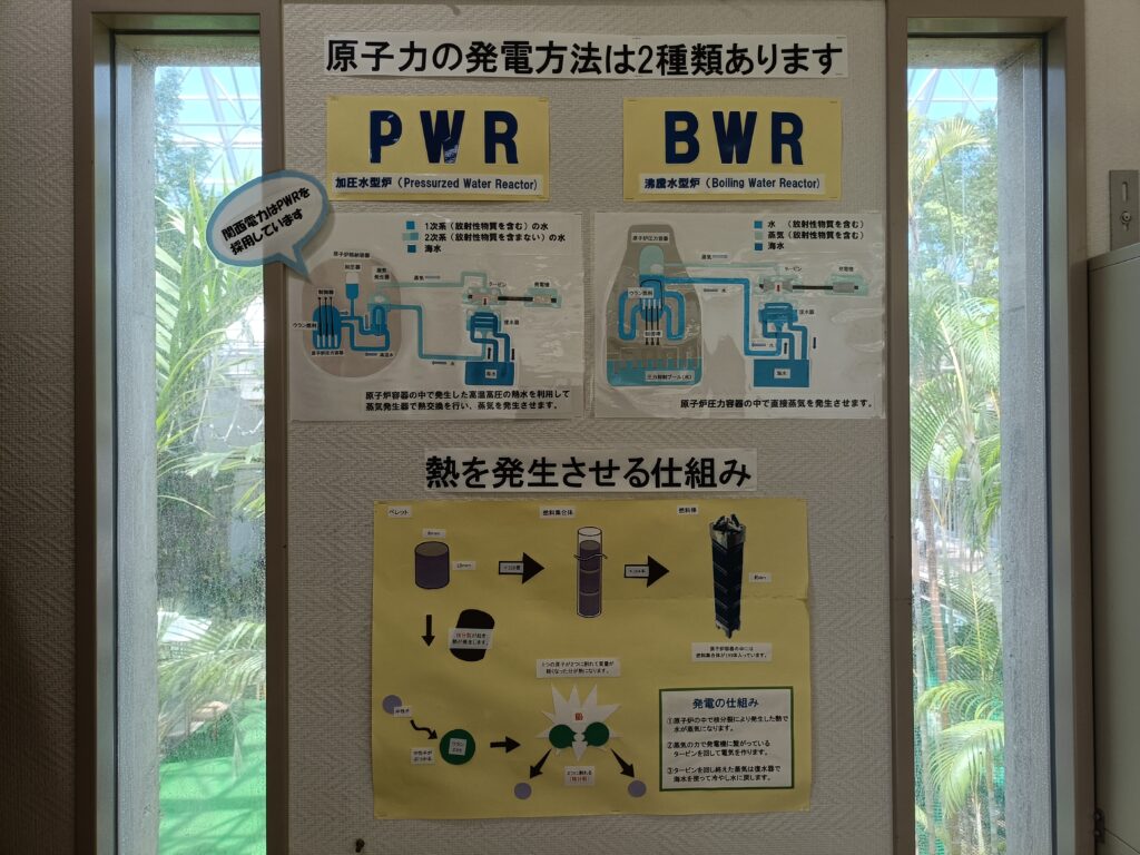 若狭たかはまエルどらんど