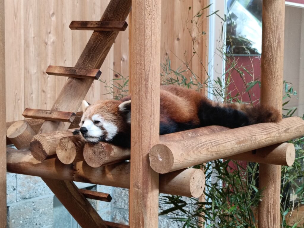 西山動物園
