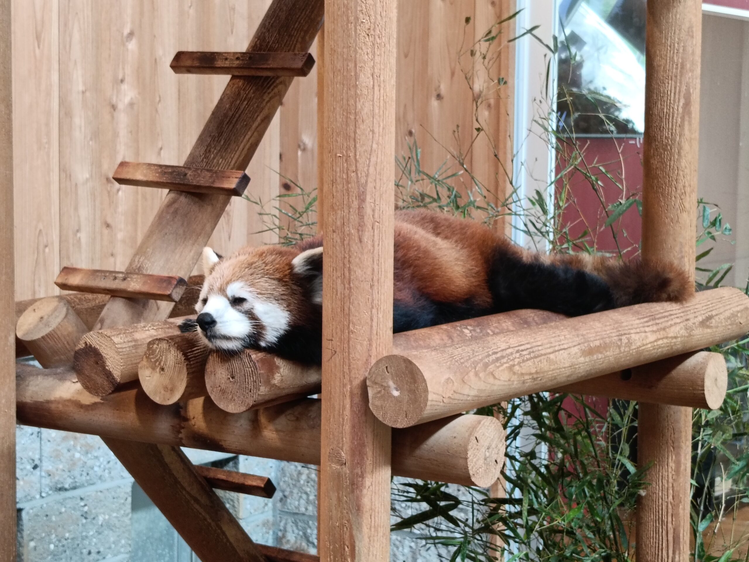 西山動物園