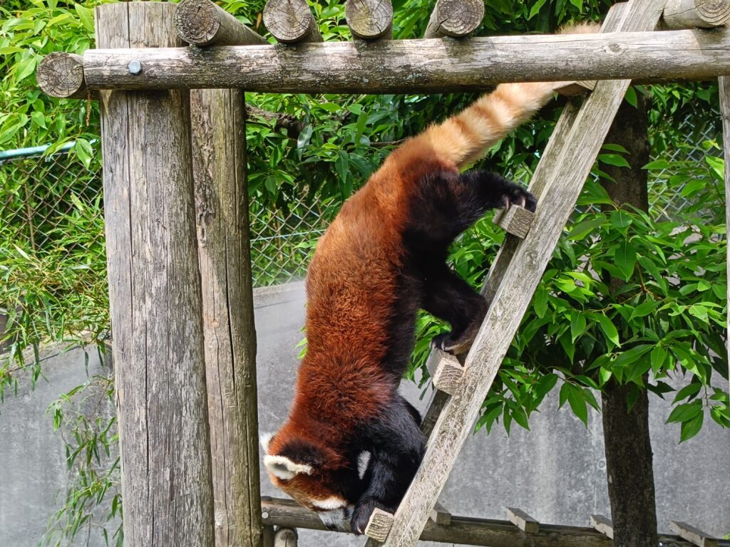 西山動物園