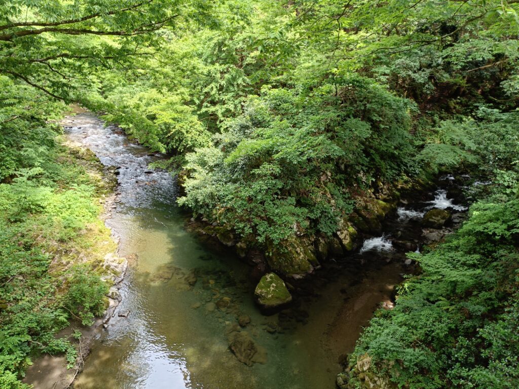 福井のかづら橋
