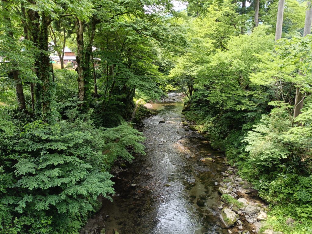 福井のかづら橋