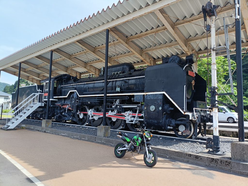 D51