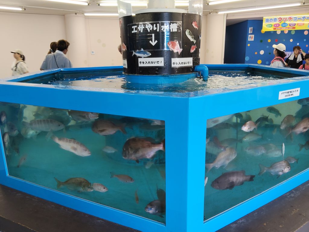越前松島水族館