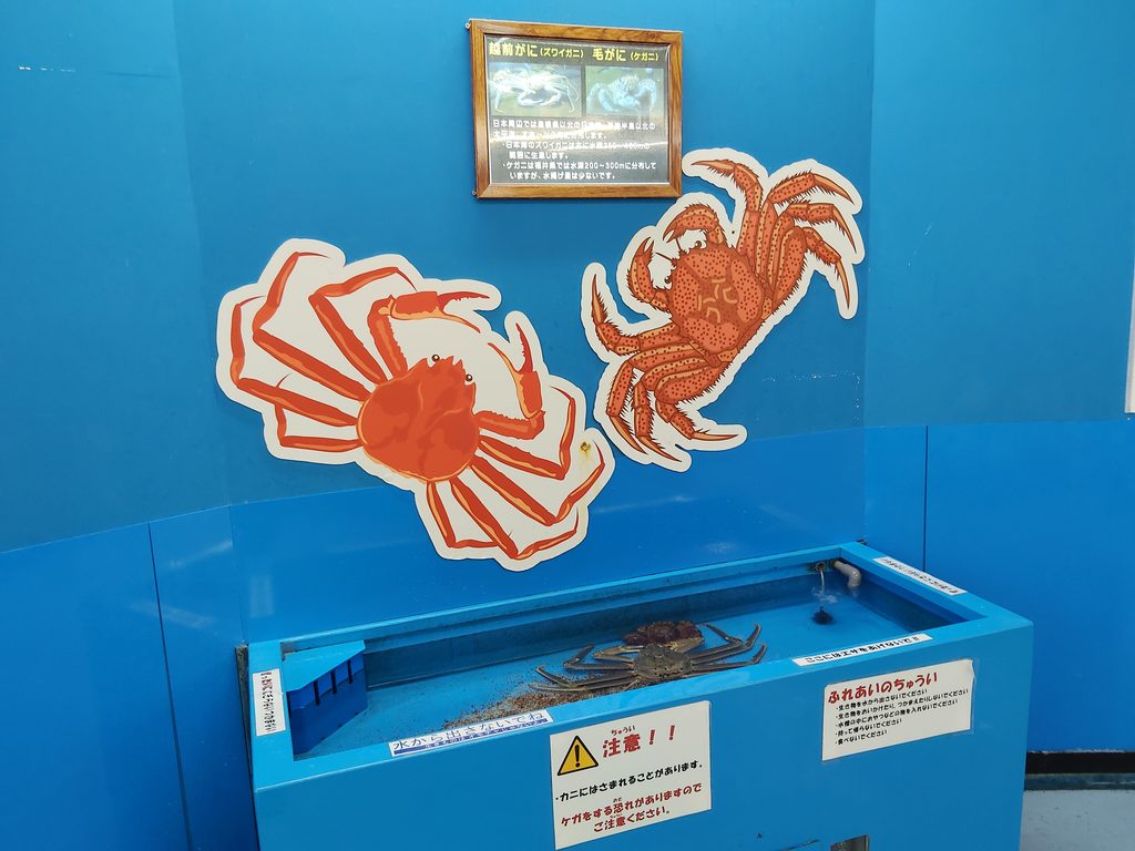 越前松島水族館