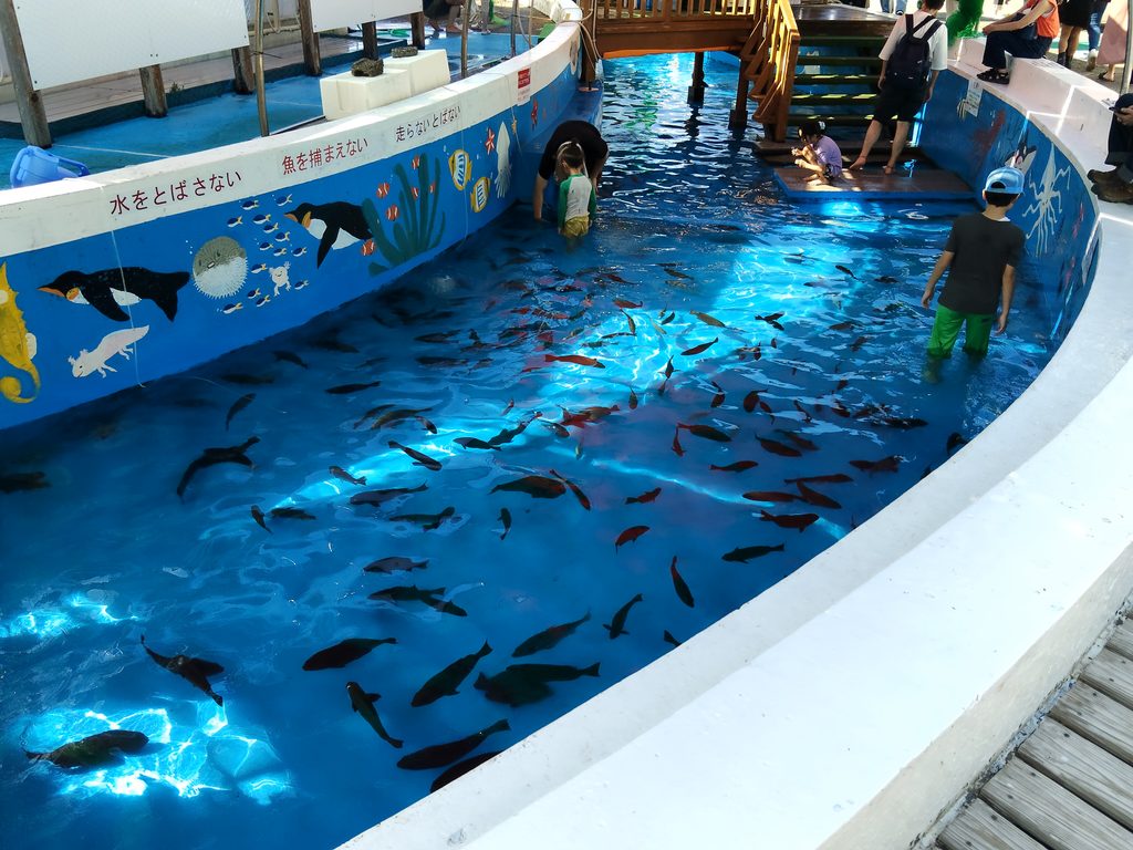 越前松島水族館