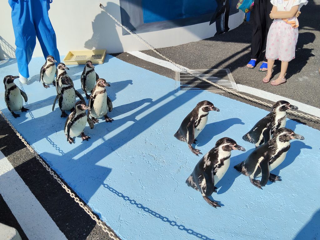 越前松島水族館